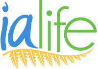 Site logo